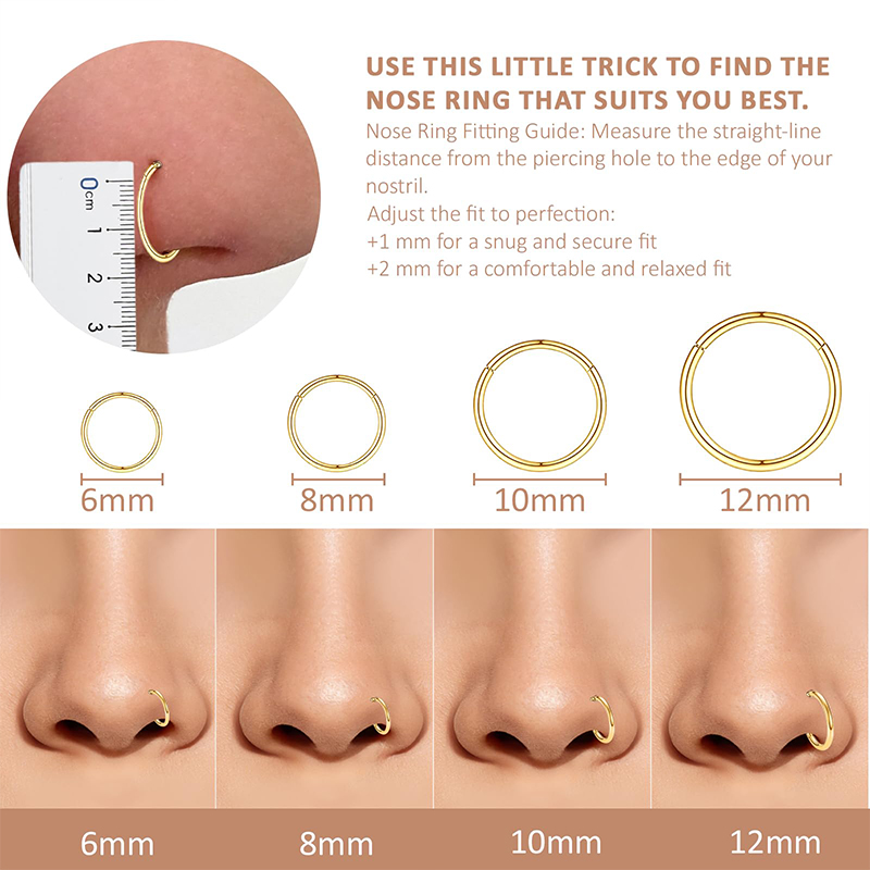 16G 316L Surgical Steel Hinged - Body Jewelry Nose Ring avaliação e preço